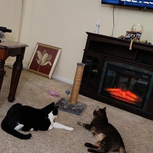 Meet your Posher, Souheir